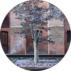 a tree inspired water feature at the new Cardiff office